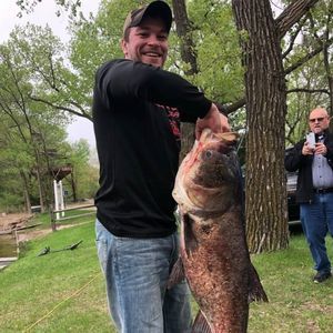 Meet your Posher, Clay